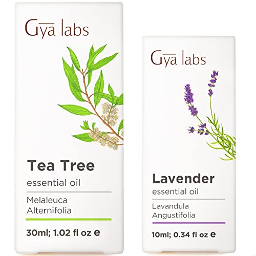 Óleo da árvore do chá para óleo de pele e lavanda Óleo essencial para conjunto de difusores - de óleos essenciais de grau terapêutico puro Conjunto - Gya Labs