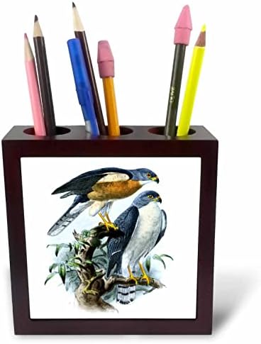 3drose chinesa Sparrowhawk Birds of presa arte vintage - pássaro falcão. - titulares de caneta de ladrilhos