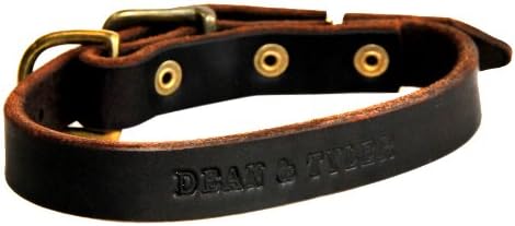 Dean e Tyler B e B, colar de cachorro de couro básico com hardware de latão forte-marrom-tamanho 12 polegadas por