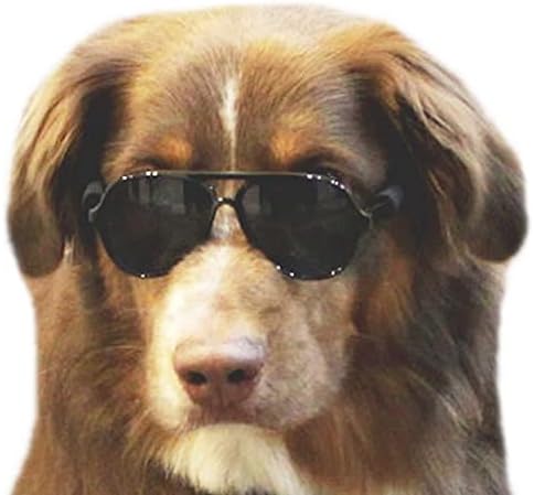 G010 Dog Pet Costume Aviator Sunglasses para raças médias 20-40 lbs