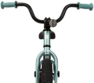 Flyer ™ de bicicleta infantil de 16 ”de 16”, barraca de bicicleta e garotos, rodas de 16 polegadas, rodas de treinamento incluídas, meninos e meninas de 4-6 anos, opções de cores múltiplas
