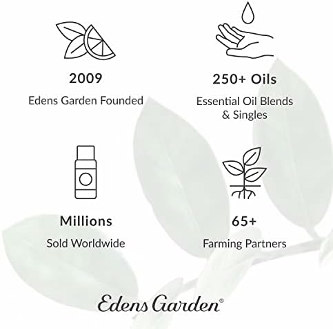 Edens Garden Synergy Blend, pura grau terapêutica