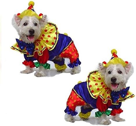 Traje de cão de puppe cães figurinos de palhaço brilhante cães como palhaços coloridos de circo