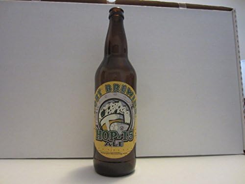 Conjunto de 2 Port Brewing Company San Marcos Ca Hop 15 Ale Ipa Double Craft Beer Retingels Garrafas vazias