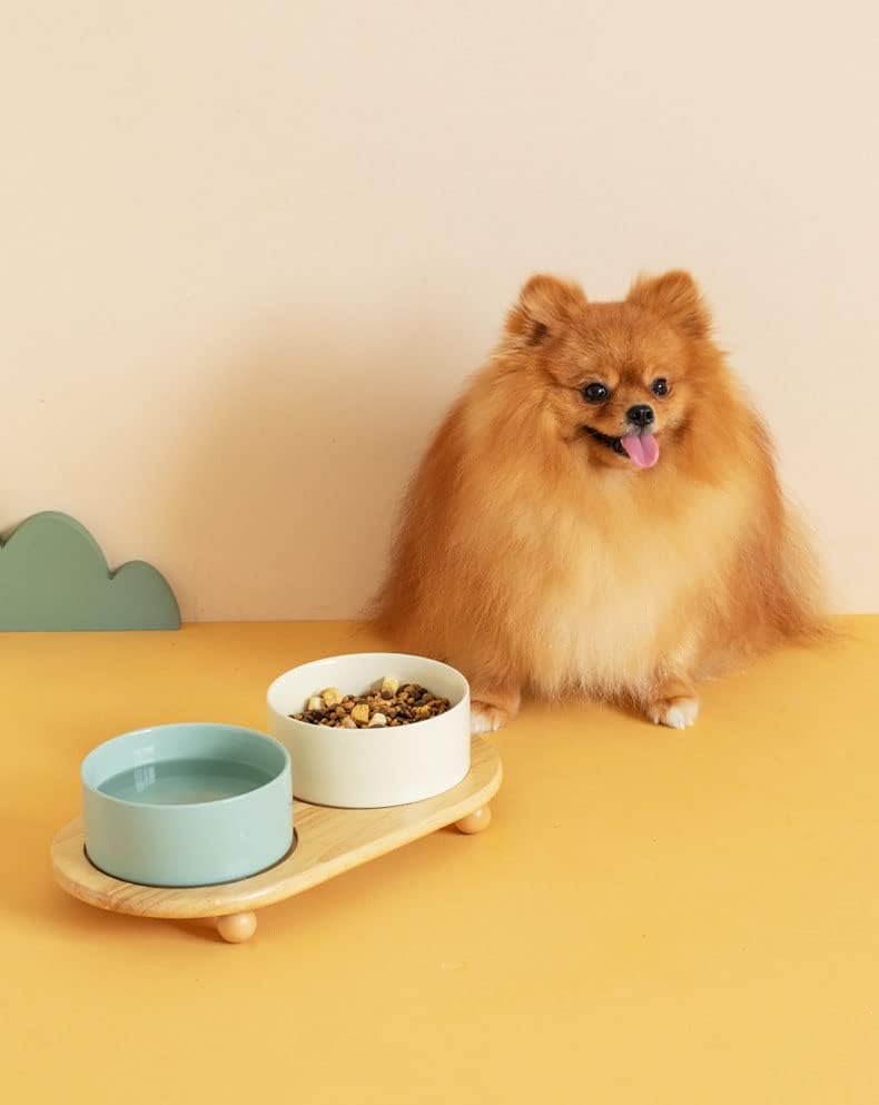 Tigela de comida de gato de cerâmica tigelas elevadas de gato elevado para alimentos e cães de cão de cães prato de alimentação