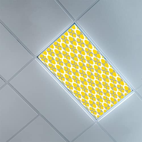 Tampas de luz fluorescente para painéis de difusor de luz de teto-i-ikat com tampas de luz fluorescentes de padrão para o escritório