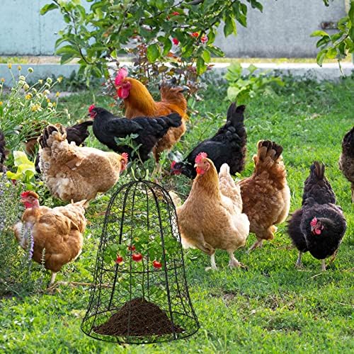 8 Pacote de galinha de galinha de galinha de galinha cloche de metal cloche 13 d x 15,7 h Protetor de plantas de arame grande