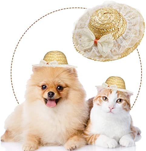 Vefsu Pet Flower Lace Hat Pet