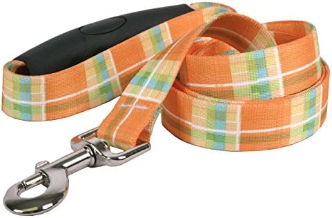 Southern Dawg Madras Orange Dog Leash com conforto Grip Handle-Large-1 e 5 '