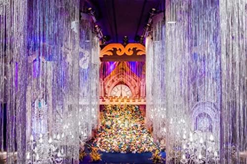 AILEXIBG 3,2 pés x 9,8 ft Metallic Tinsel Fringe Cortains para decoração de casamento de pano de fundo da festa