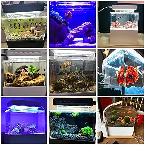 N/A Mini -peix tanques de peixe Desktop Marine Aquaponic Aquarium Bow