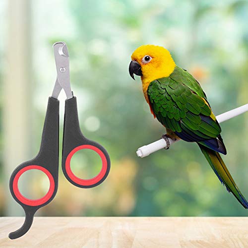 Clippers de asa de papagaio, cortador de unhas de aço inoxidável sólido, cortador de unhas de pássaro 4.6x2.4x0.2in