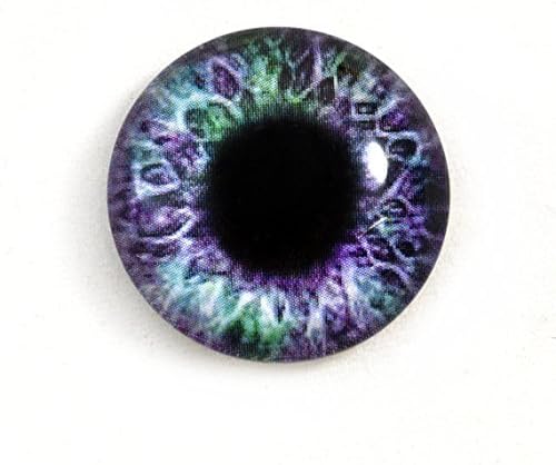 O olho de vidro de 25 mm de 1 polegada de fantasia roxa e verde cabochon para esculturas de taxidermia ou jóias que fabricam
