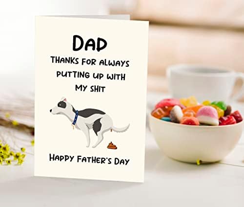 WlwlGluck Cartão engraçado do dia dos pais com envelope, cartão de humor para papai, avô, cartão de dia feliz do pai da filha filho
