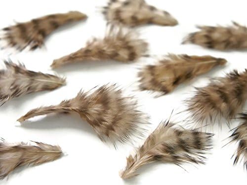 Craft Feathers - 1 dúzia - tan Grizzly Rooster Chickabou Fluff Feathers