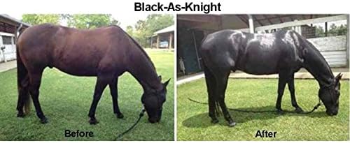 Suplemento de cavalo escuro negro como um cavalinho para aprimorar casacos, cromos, caudas e cascos em negros, baías e outros cavalos