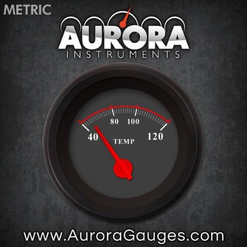 Aurora Instruments 4889 Omega Black Métrica Medidor de Temperatura da Água