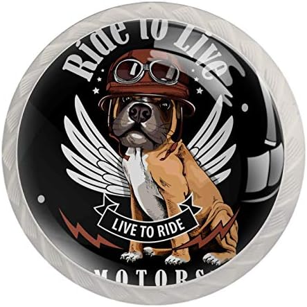 Cão de boxer ideal em peças de capacete de motociclista Decoração de móveis de puxar por porta de capacete para cabine de