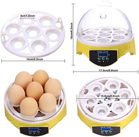ALREMO 103234536 Incubadora de ovo Digital automático, Mini Mini Poultry Hatcher Intelligent Temperature Control para pássaros