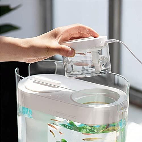WSSBK Geometria transparente Tanque de peixes aquoponia Ecossistema pequeno jardim de água de água ecológica aquário de tanque de peixes com umidificador