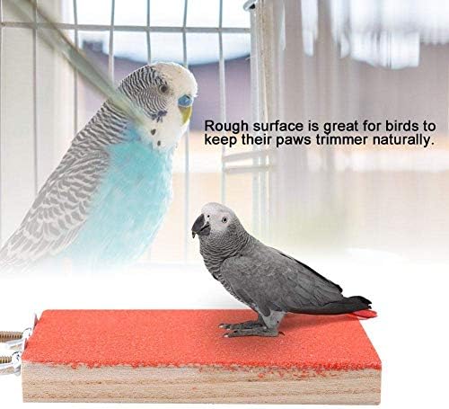 2 PCS Parrot Stand Toy, Bird Poldge Stand Plataforma Playground Plaw Retinging Limpo para Pet Parrot Hamster Squirrel