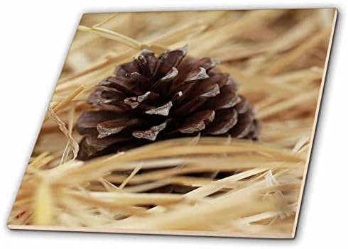 3DROSE Uma fotografia macro de uma pinecona em um ninho de feno de palha. - Azulejos