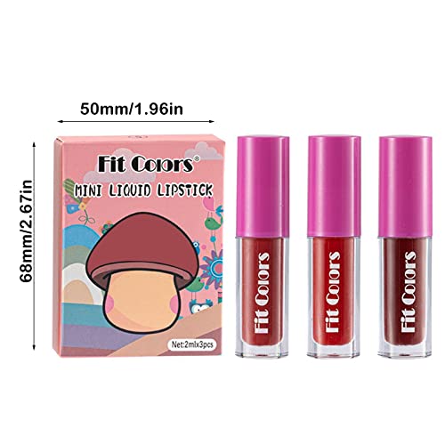 Dbylxmn 15 cores 3 bastões de cogumelo brilho não bastão de bico líquido Lipstick Lip Lip Gloss Conjunto hidratante Configuração de batom para mulheres 6ml Long Stay Lipstick