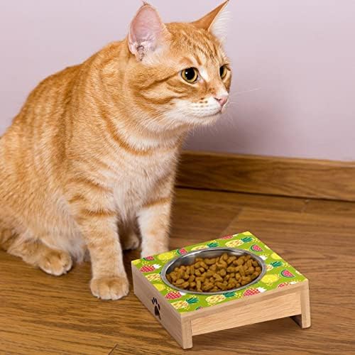Abacaxles morangos tigela de gato de cachorro aço inoxidável anti -vômito alimentador
