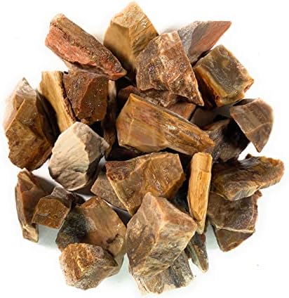 Materiais Hypnotic Gems: 1/2 lb de pedras de madeira petrificada a granel de Madagascar - cristais naturais crus para cabine, queda, lapidário, polimento, embrulho de arame, Wicca e Reiki Crystal Healing