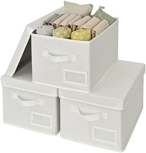 Vovó diz pacote de caixas de armazenamento de 3 pacote com tampas para roupas sazonais e 1 pacote sobre o organizador de armazenamento de porta