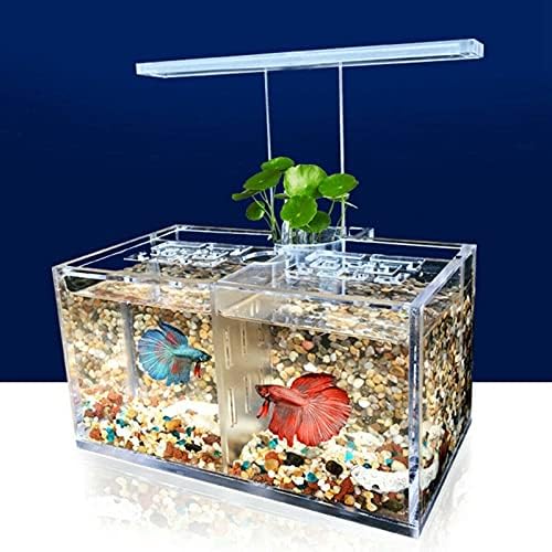 Zlbyb Aquarium LED acrílico tanque de tanques de peixes mini-desktop Bomba de água leve Filtros-triple