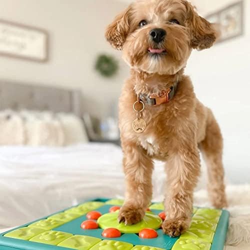Jydqm Treinamento Toys Dogs Presente Alimento Alimentar jogo interativo Home portátil Distúrbio lento Slow Intelligence Floor