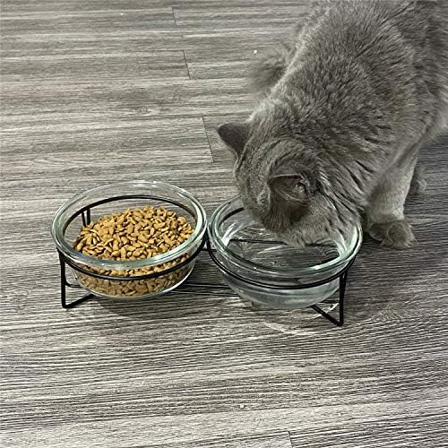 Gato de gato elevado de vidro duplo ou tigelas de cachorro pequenas com suporte de metal para alimentos para animais de estimação
