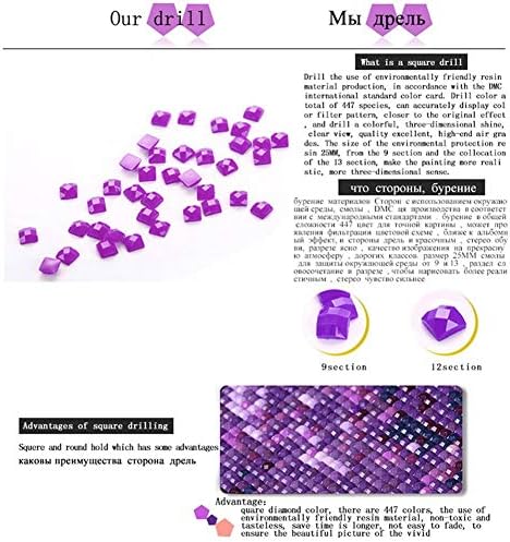 Kits de pintura de diamante de flauta para adultos - kit de arte de diamante 5D DIY para tinta para iniciantes com diamantes