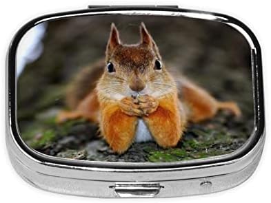 PSVOD Funny Squirrel Portable Mini Travel Diário Caixa de comprimidos - Lembrete de comprimidos quadrados