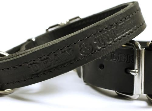 Dean e Tyler Strictly Business Dog Collar - Hardware de níquel - Black - Tamanho 26 x 1 Largura. Se encaixa no tamanho do pescoço