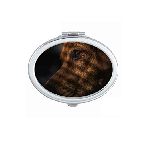 Cachorro de animal de estimação de animais de estimação Sentimental espelho portátil dobra maquiagem de mão dupla lateral óculos