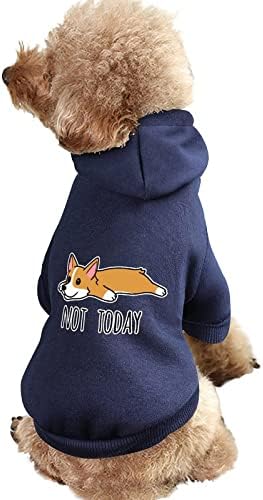 Hoje não é hoje o suéter de cães de cães macios corgi com suéter estampado de cães com chapéus