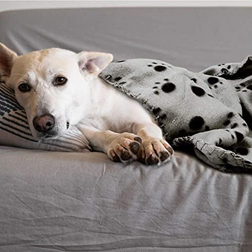 Comsmart Pet Blanket Dog Cat Pão cobertores de lã Sleep Mat Pad Chape com estampa de pata para cachorro de gatinho e outros pequenos animais, 6 pacote de 39x31 polegadas