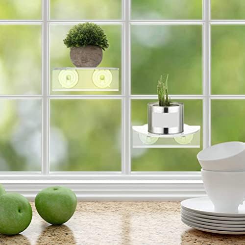 Zerodeko suculento 2pcs xícara de sucção prateleira de janela de acrílico plantas de vibração do suporte do suporte da janela