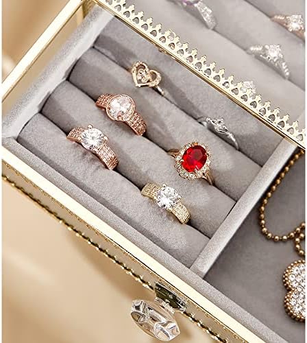 WLBHWL Caixa de jóias portáteis Caixa de jóias Brincos exibidos STAND HOMARE HOMARE LUZ LUZ FURO ANTIOXIDANTE JOIXAS BRIINHOS