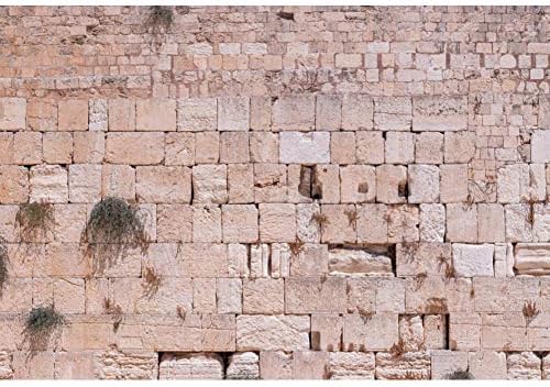 Cenário de parede ocidental de 10x8ft 10x8ft Jerusalém Anterior