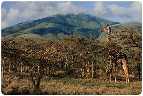 Ambesonne Zoo Pet tapete para comida e água, girafa entre as árvores Plantas espinhas pastando savana de montanha na África Savana, tapete de borracha não deslizante para cães e gatos, 18 x 12, verde marrom pálido e azul