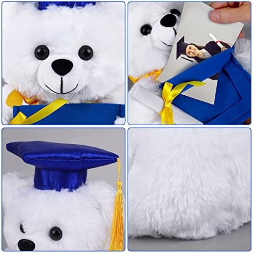 FOVTHS PLUSH PLUSH TEDDY Urso com tampa de diploma de quadro de imagem não tecida azul para 2023 graduação 10 polegadas