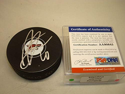 Anthony Duclair assinou o Arizona Coyotes Hockey Puck PSA/DNA CoA 1A autografado - Pucks NHL autografados