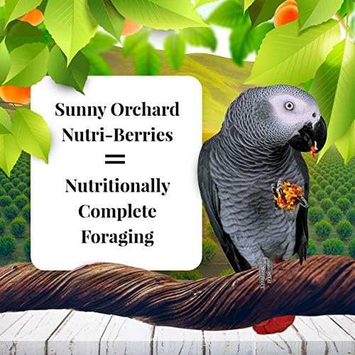 O pomar de Lafeber Nutri-Berries Berries Food, feito com ingredientes não-OGM e de grau humano, para papagaios, 20 lb