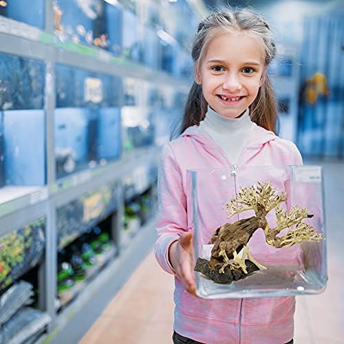 BONSAI Driftwood Aquarium Tree ASRB Pick aleatória Decoração de tanques de peixes naturais e artesanais | Fácil de