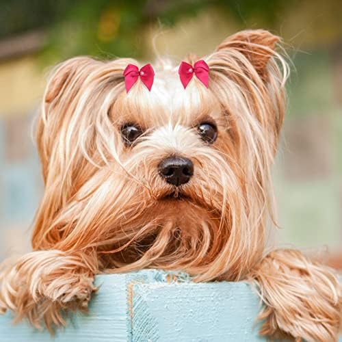 YuSailing Hair Hair Cost com faixas de borracha Puppy Yorkie cachorro Cabelo pequeno Cabelo de cabelos de cabelos múltiplas