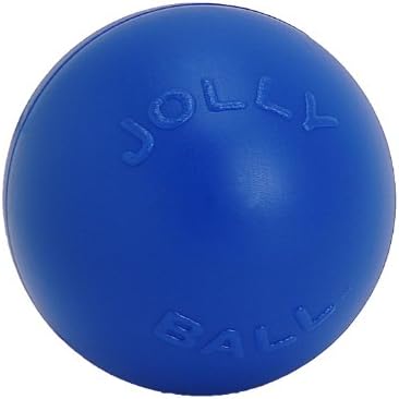 Jolly Pets Push-N-Play Ball Dog Toy