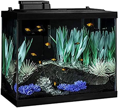 Tetra Colorfusion Aquarium de 20 galões de peixe Kit, inclui iluminação e decoração de LED